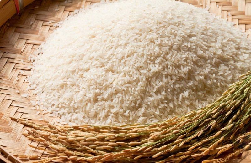 Gạo Phadin - thương hiệu gạo đặc sản cao cấp nhất