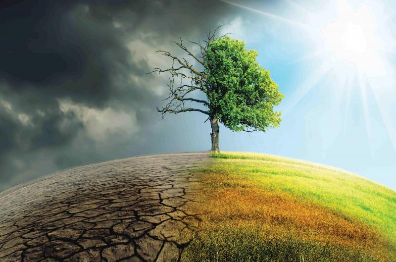 Bài văn nghị luận xã hội về biến đổi khí hậu số 2