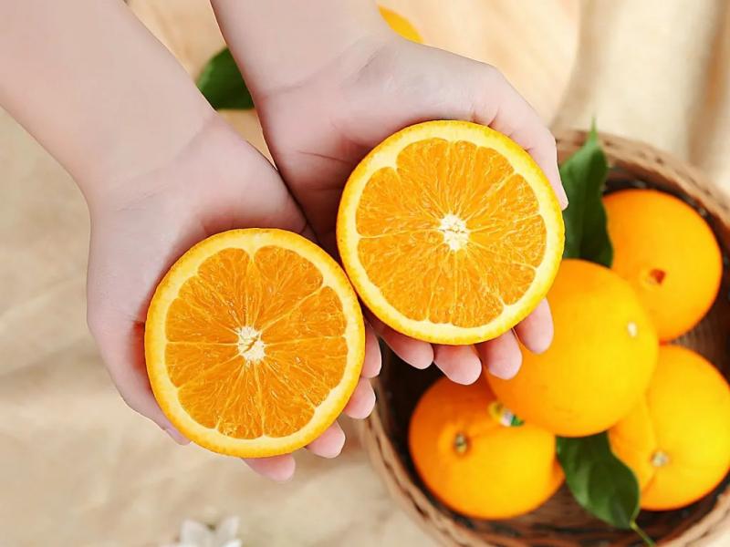Hãy ăn một trái cam để tỉnh táo hơn