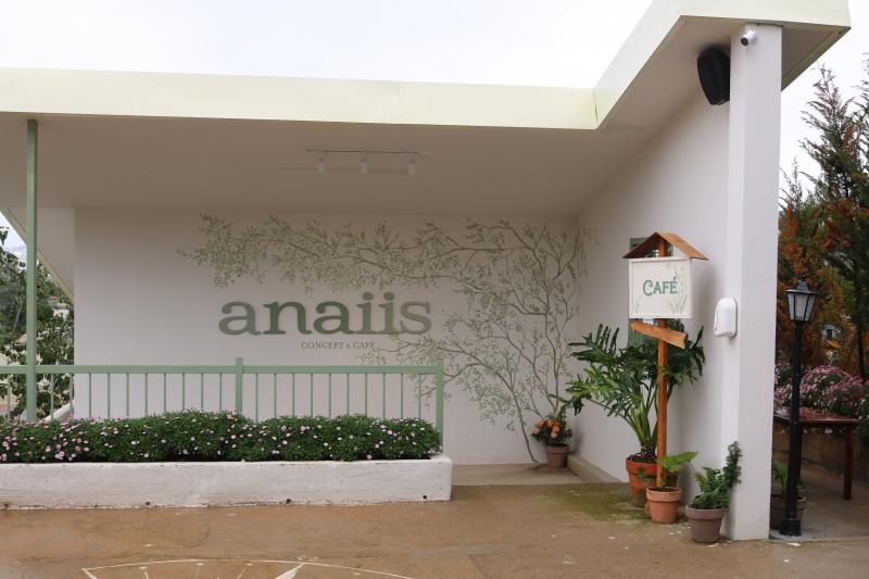 Anaiis Concept & Café