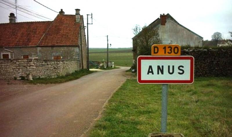 Anus, Pháp