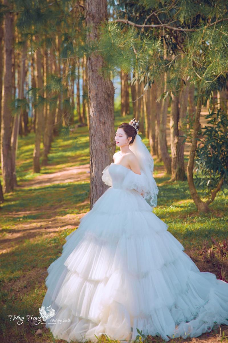 Áo cưới Thắng Trang