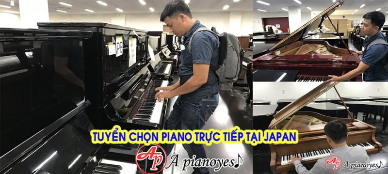 Đến với APIANOYES Quý khách hàng hoàn toàn có thể tìm mua piano giá rẻ với chất lượng đạt chuẩn Nhật Bản.﻿
