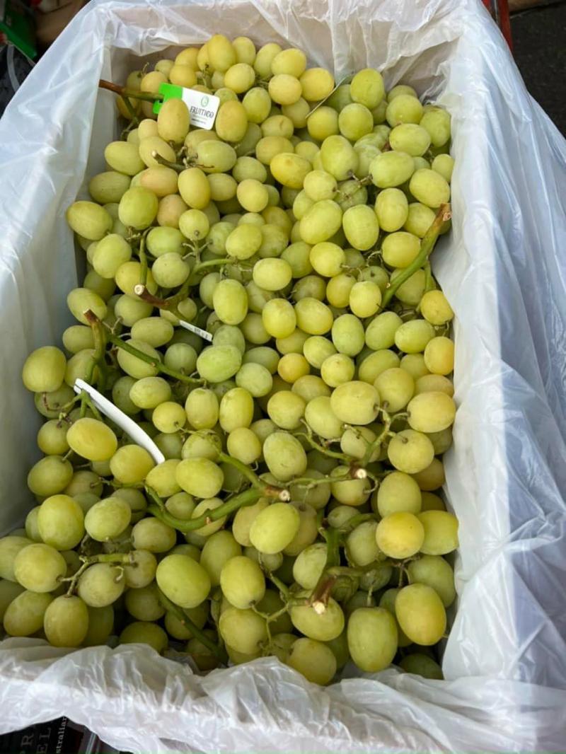 April Fruits - Trái cây tươi nhập khẩu Nha Trang