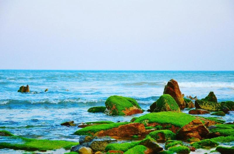 Bãi biển Hoành Sơn với những vùng bãi đá rêu xanh