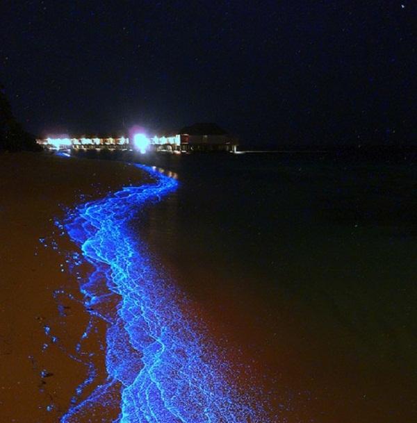 Bãi biển phát sáng tại Maldives
