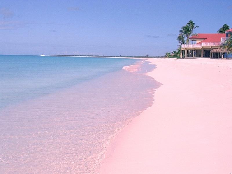 Bãi biển cát hồng, đảo Harbor, Bahamas