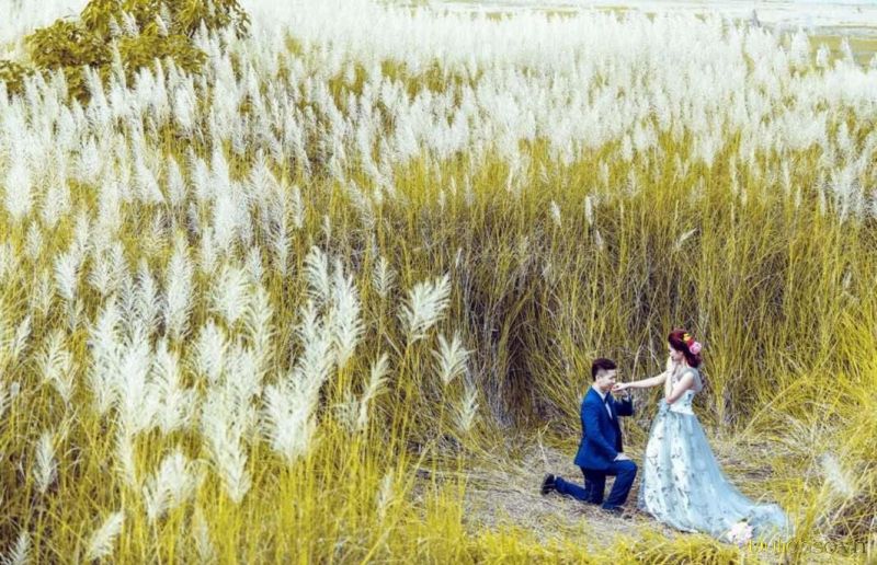 Chụp ảnh cưới ở Bãi đá sông hồng