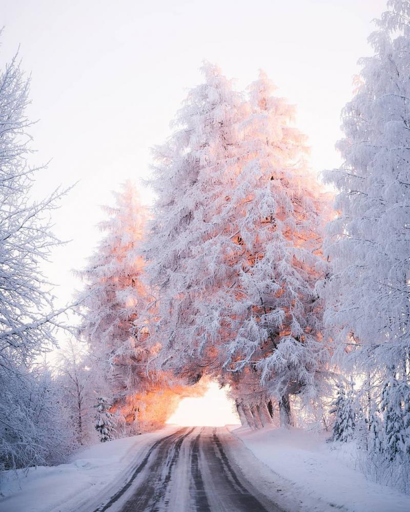 Bài thơ: Con đường mùa đông (Зимняя дорога)