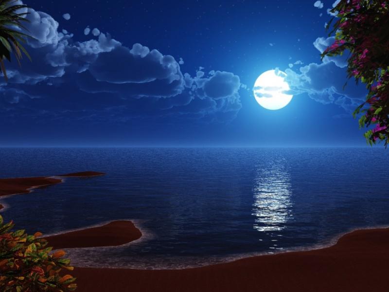 Bài thơ: Lãng du đêm trăng