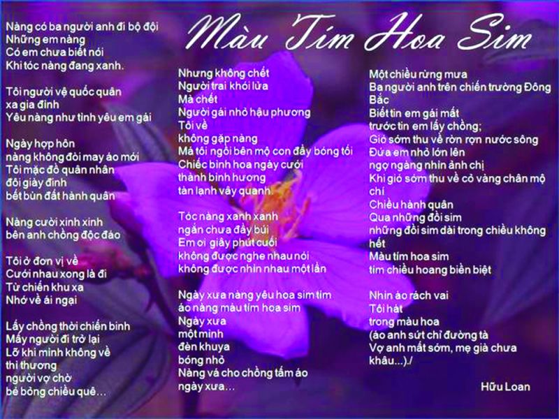 Bài thơ: Màu tím hoa sim