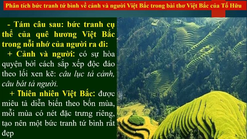 Bài văn mẫu phân tích tính dân tộc trong tác phẩm Việt Bắc số 3