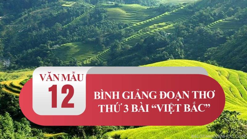 Bài văn mẫu phân tích tính dân tộc trong tác phẩm Việt Bắc số 4
