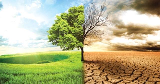Bài văn nghị luận xã hội về biến đổi khí hậu số 8