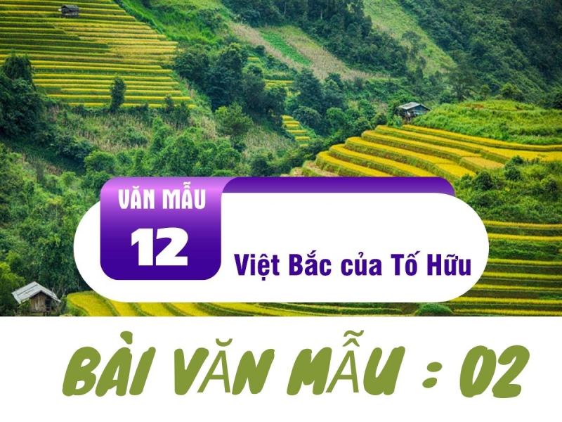 Bài văn phân tích bức tranh tứ bình trong bài thơ Việt Bắc số 10