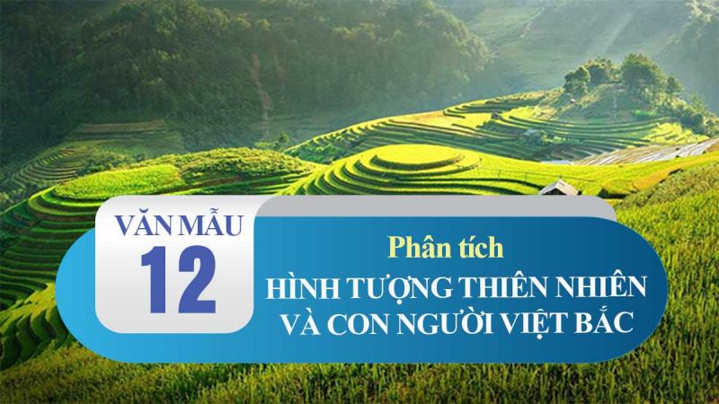 Bài văn phân tích bức tranh tứ bình trong bài thơ Việt Bắc số 5