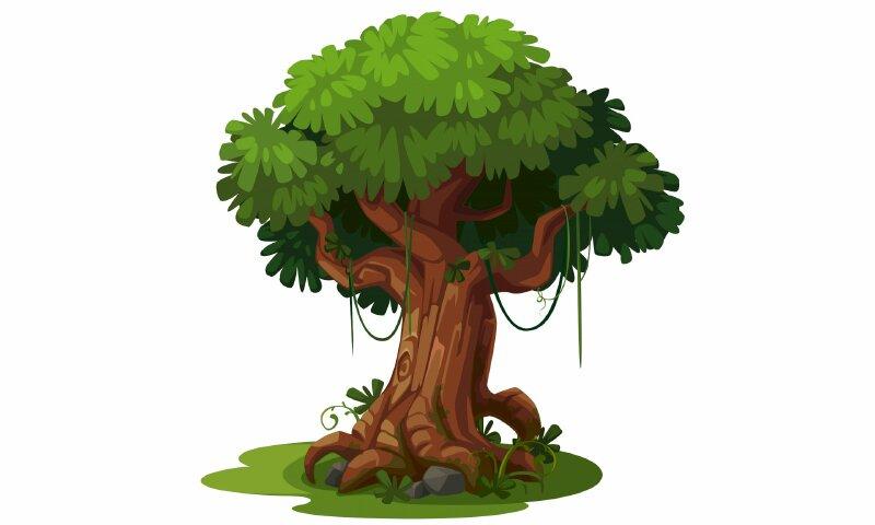 Bài văn thuyết minh về cây đa - mẫu 7