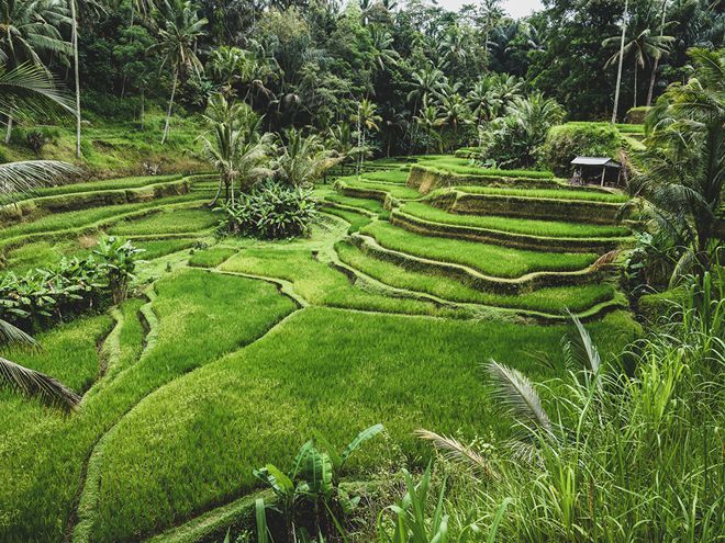 Bali - Indonesia là địa điểm du lịch tuần trăng mật lý tưởng cho bạn