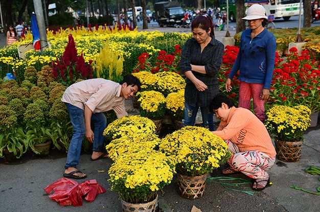 Hoa mai, hoa đào - biểu tượng của Tết Việt Nam.