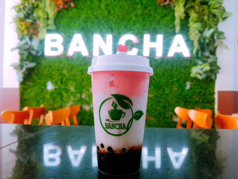 BanCha Tea