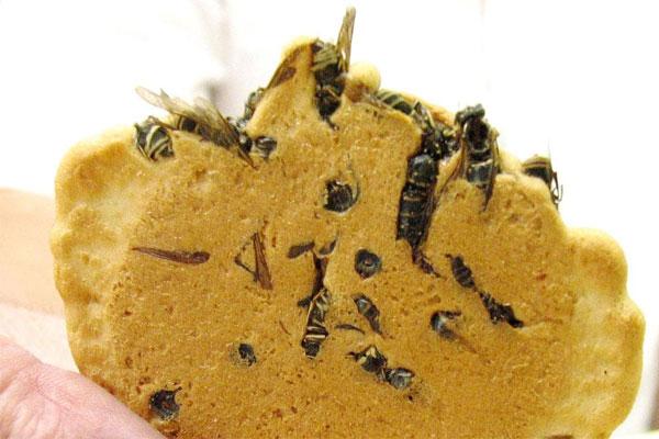 Bánh quy ong vò vẽ ở Nhật Bản