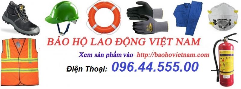 Bảo hộ lao động Việt Nam