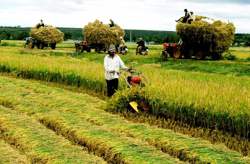 Báo nông nghiệp Việt Nam