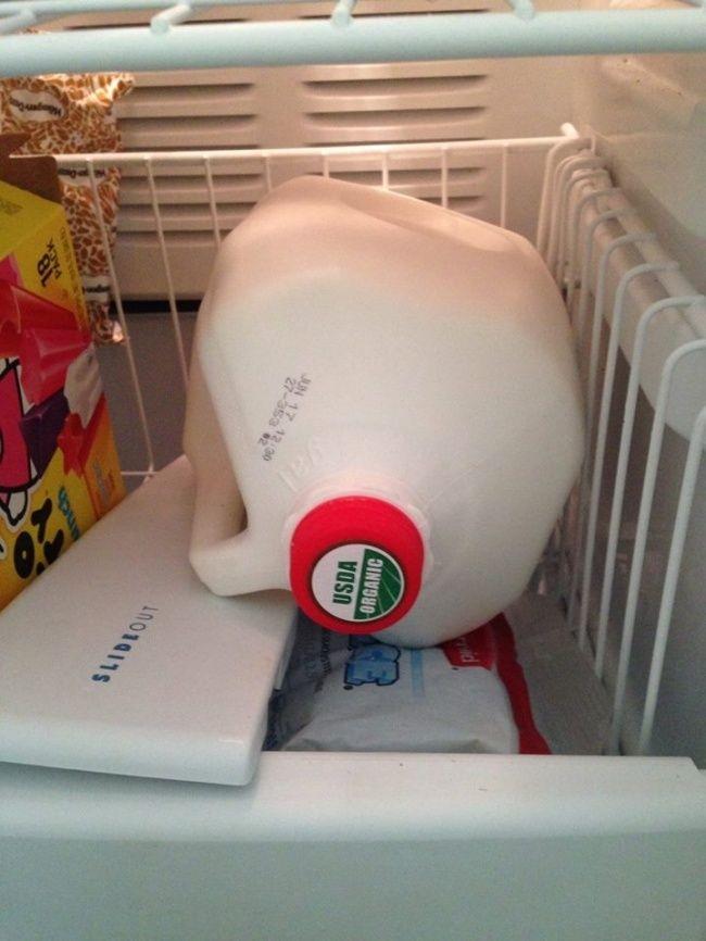 Bảo quản sữa trong ngăn đá tủ lạnh
