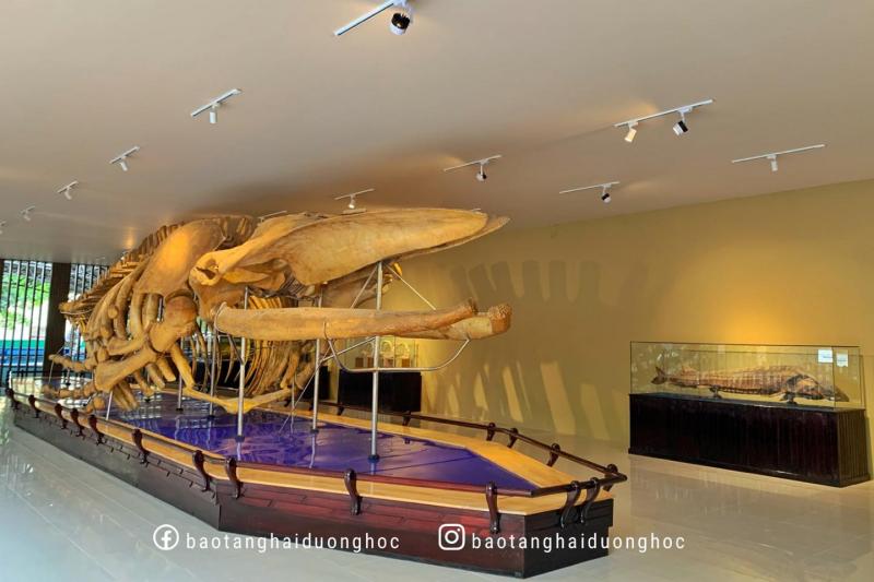 Bảo tàng Hải Dương học