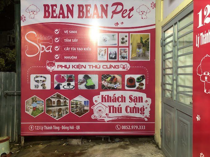 Bean Bean Pet