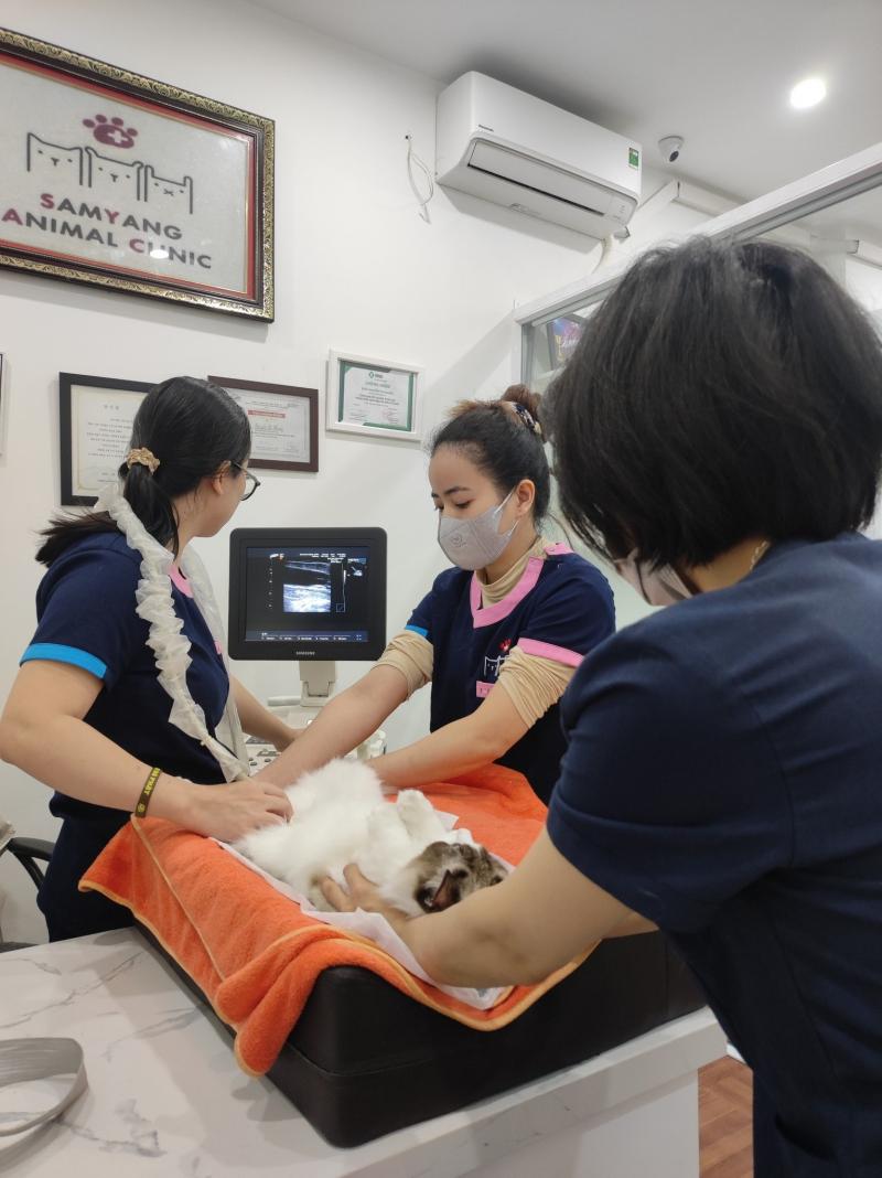 Bệnh Viện Samyang Animal Clinic