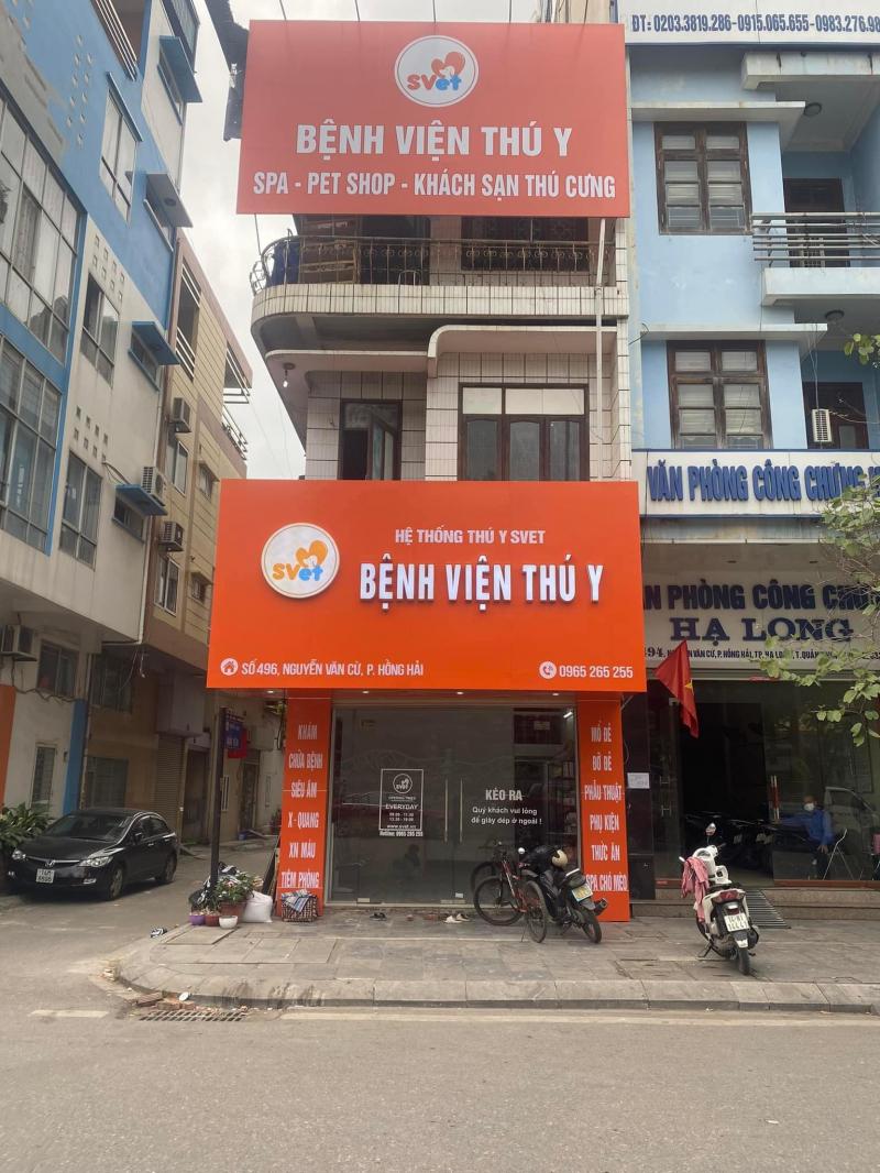Bệnh viện thú y SVET Quảng Ninh - Dr Hiệp