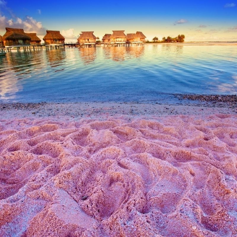 Biển cát hồng