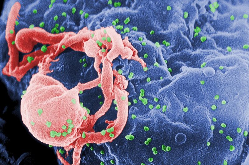 Người bệnh giang mai có nguy cơ cao nhiễm HIV