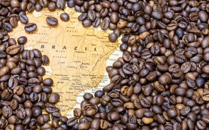 Brazil là nhà sản xuất cà phê lớn nhất thế giới trong 150 năm qua