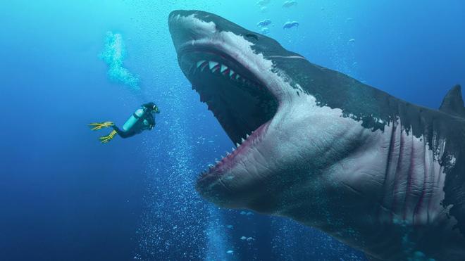 Cá mập khổng lồ có cú đớp kinh hoàng nhất