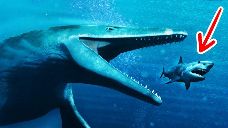 Siêu cá mập Megalodon