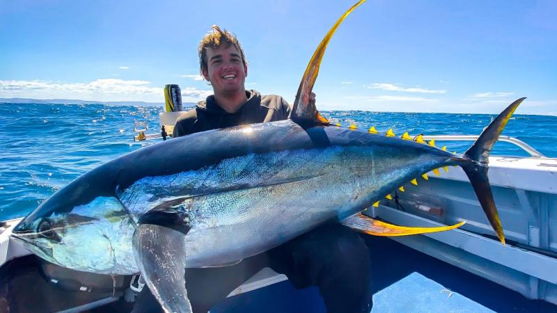 Cá ngừ vây vàng – Yellowfin Tuna