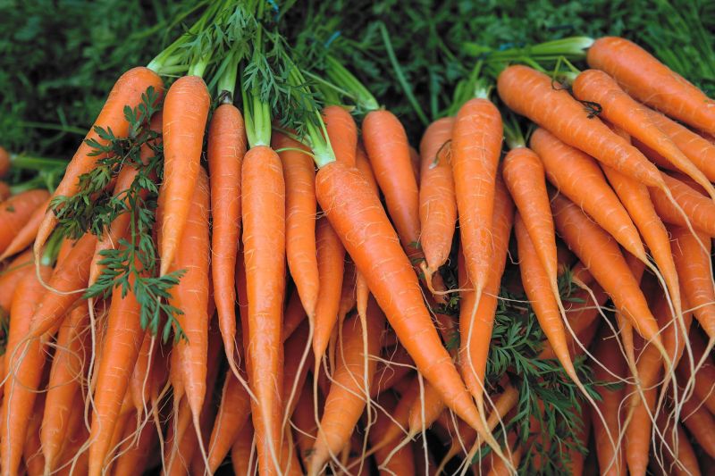 Cà rốt thực phẩm thanh lọc cơ thể rất tốt