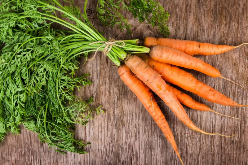 Vitamin A, các vitamin nhu yếu khác và các chất chống oxy hóa trong cà rốt