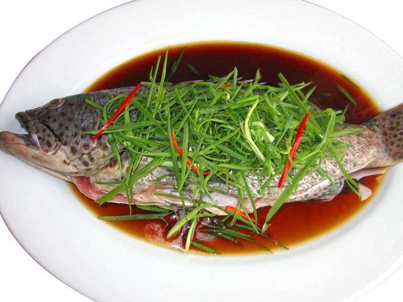 Cá song biển có thể chế biến được nhiều món ăn bổ dưỡng như: gỏi cá song, cá song hấp xì dầu, cá song nấu canh chua, lẩu cá song…