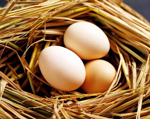 Cách chữa cao huyết áp từ trứng giấm