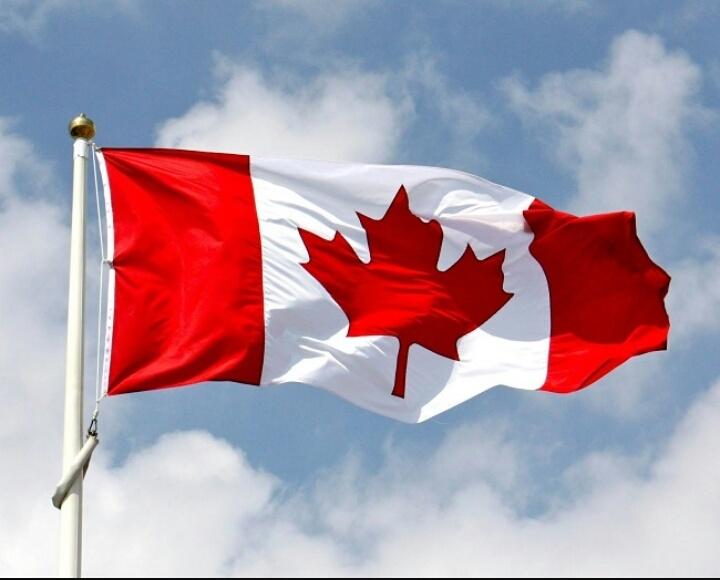 Quốc kỳ với hình ảnh chiếc lá phong của Canada
