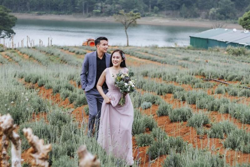 Ảnh cưới tại cánh đồng hoa Lavender Đà Lạt