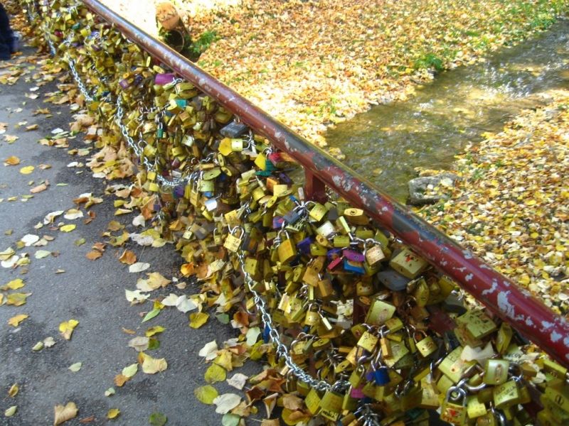 Mùa thu cây cầu trở nên lãng mạn hơn bởi sắc vàng của lá
