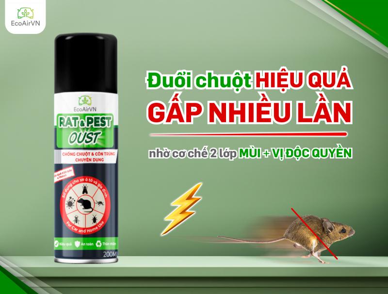 Chai xịt chống chuột – Đuổi côn trùng Rat & Pest Oust