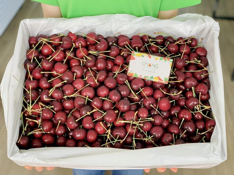 Chang Fruits - Trái Cây Nhập Khẩu Pleiku