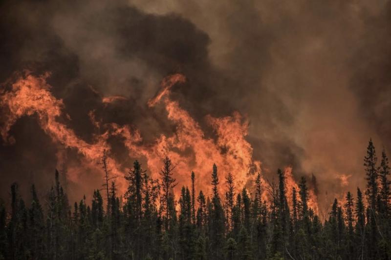 Một đám cháy rừng tại Mỹ