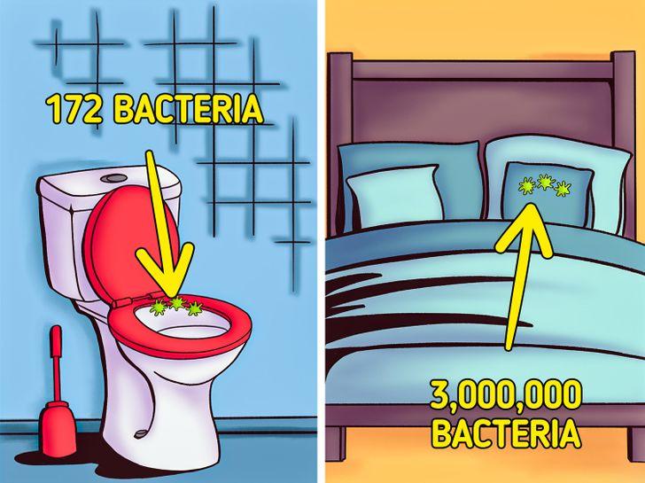 Chiếc giường là nơi ẩn náu của vi khuẩn