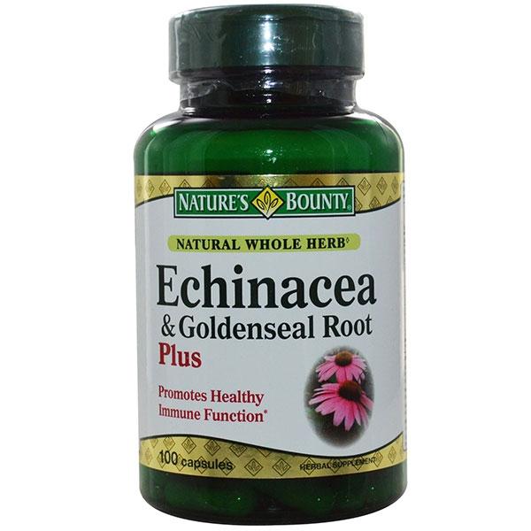 Chiết xuất từ rễ Echinacea có thể được dùng chữa các bệnh sổ mũi, ốm, cảm hiệu quả